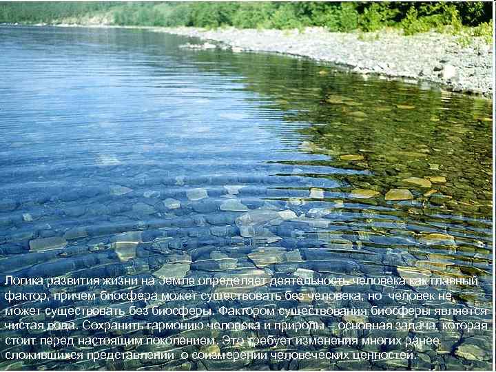 Логика развития жизни на Земле определяет деятельность человека как главный фактор, причем биосфера может