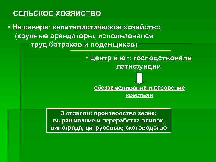 СЕЛЬСКОЕ ХОЗЯЙСТВО • На севере: капиталистическое хозяйство (крупные арендаторы, использовался труд батраков и поденщиков)