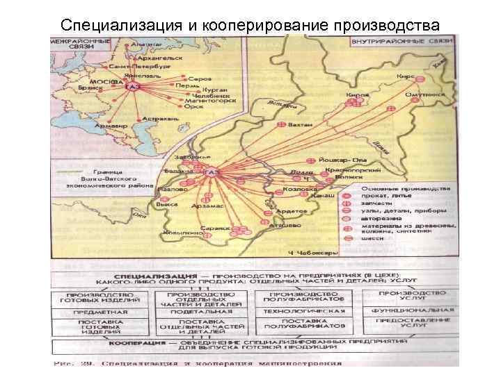 Специализация и кооперирование производства 