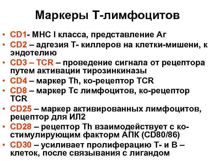Маркеры Т-лимфоцитов • CD 1 - МНС I класса, представление Аг • CD 2