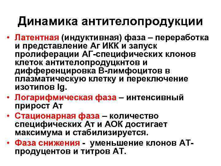 Динамика антителопродукции • Латентная (индуктивная) фаза – переработка и представление Аг ИКК и запуск
