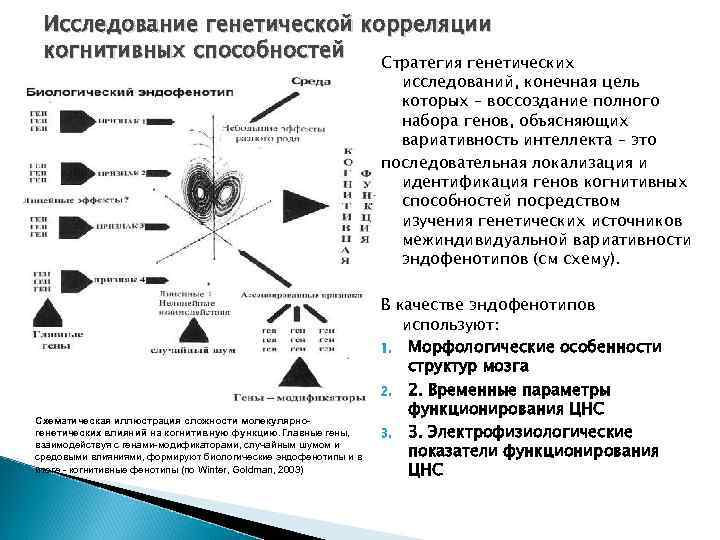 Исследование генетической корреляции когнитивных способностей Стратегия генетических исследований, конечная цель которых – воссоздание полного