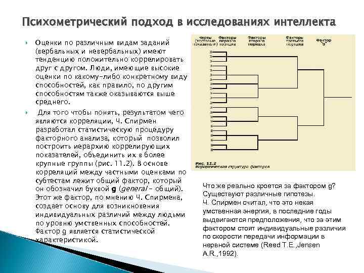 Психометрический подход в исследованиях интеллекта Оценки по различным видам заданий (вербальных и невербальных) имеют
