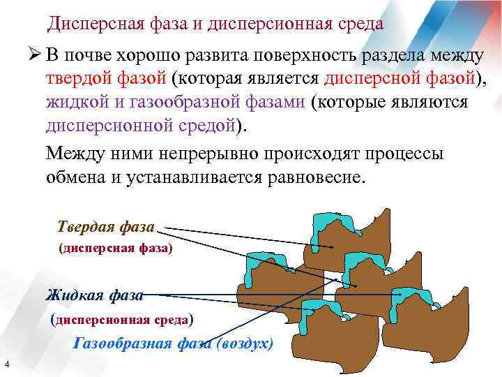 Дисперсная фаза и дисперсионная среда Ø В почве хорошо развита поверхность раздела между твердой