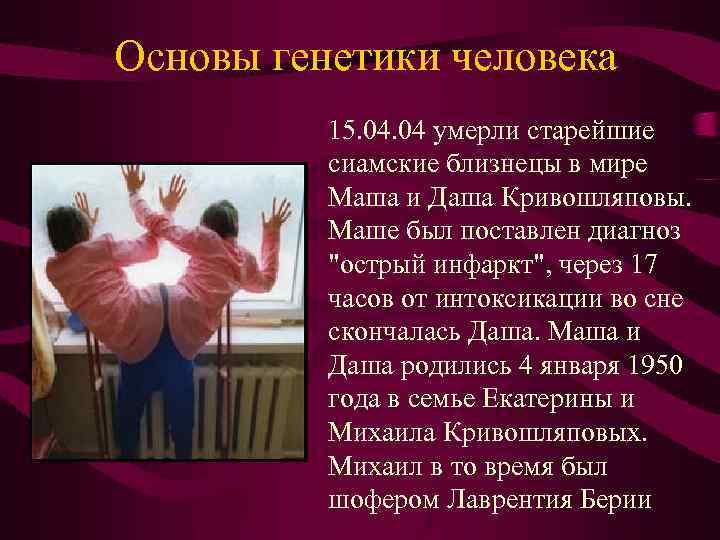 Основы генетики человека 15. 04 умерли старейшие сиамские близнецы в мире Маша и Даша