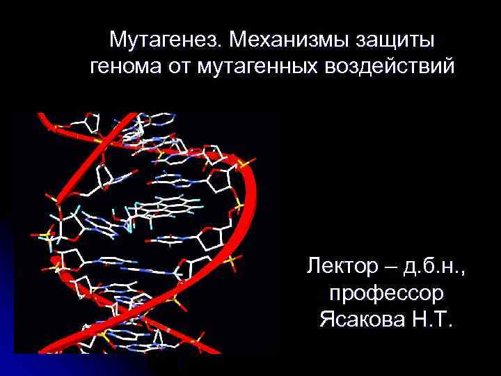 Мутагенез. Механизмы защиты генома от мутагенных воздействий Лектор – д. б. н. , профессор