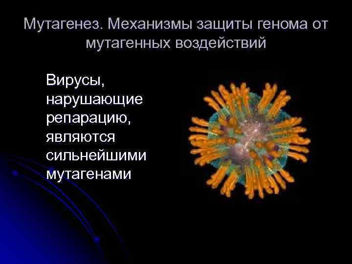 Мутагенез. Механизмы защиты генома от мутагенных воздействий Вирусы, нарушающие репарацию, являются сильнейшими мутагенами 