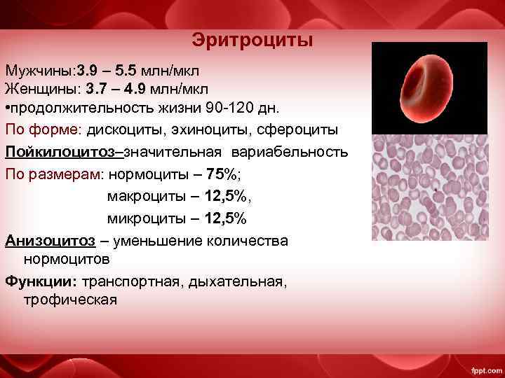 Эритроциты Мужчины: 3. 9 – 5. 5 млн/мкл Женщины: 3. 7 – 4. 9