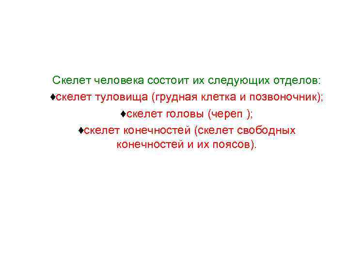 Скелет человека состоит их следующих отделов: ♦скелет туловища (грудная клетка и позвоночник); ♦скелет головы