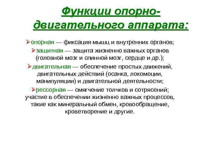 Система синоним. Локомоторная функция. Локомоторная активность это. Локомоторный аппарат это. Локомоторная функция б.