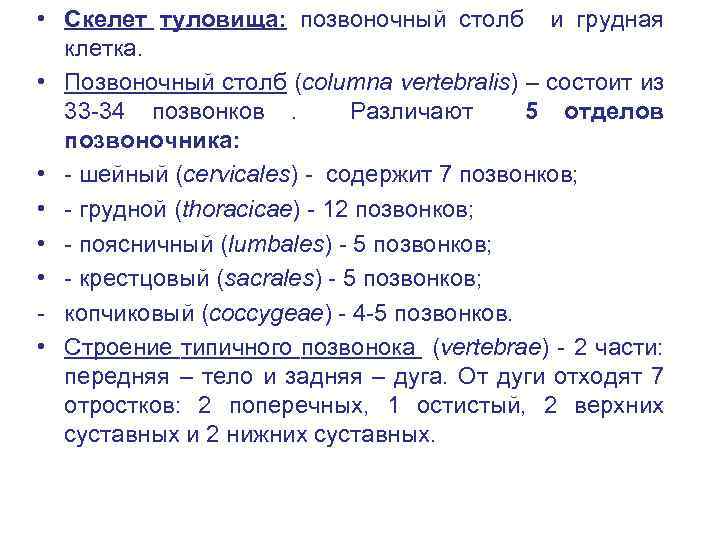  • Скелет туловища: позвоночный столб и грудная клетка. • Позвоночный столб (columna vertebralis)