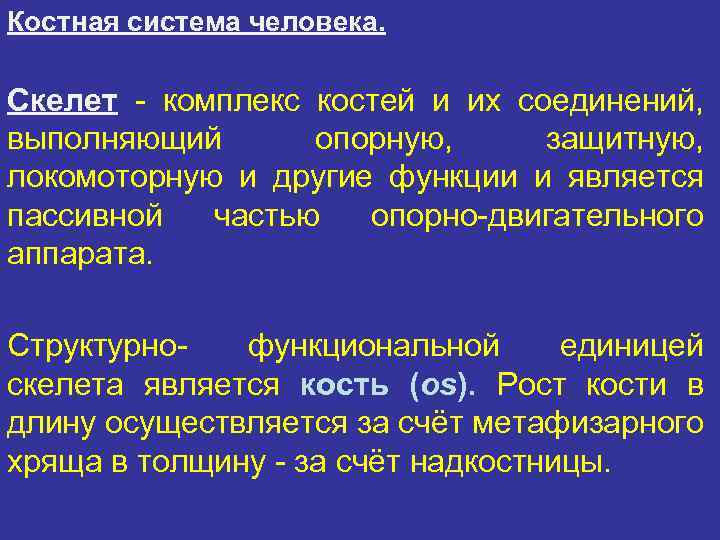 Костная система человека. Скелет - комплекс костей и их соединений, выполняющий опорную, защитную, локомоторную