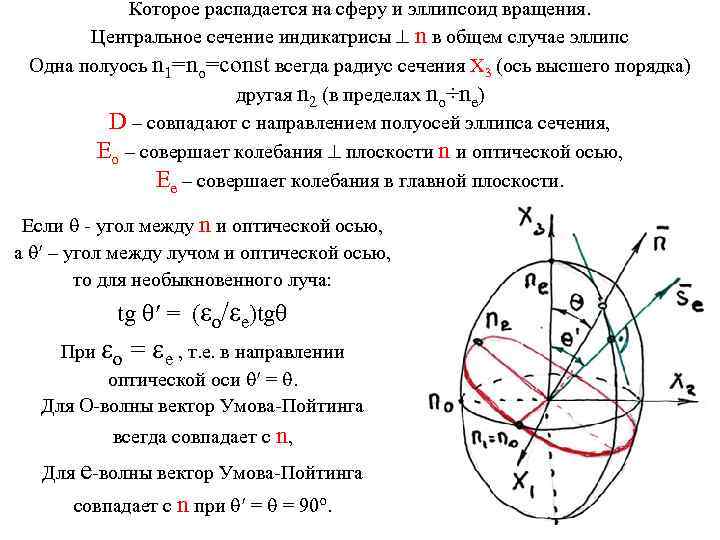 Которое распадается на сферу и эллипсоид вращения. Центральное сечение индикатрисы n в общем случае