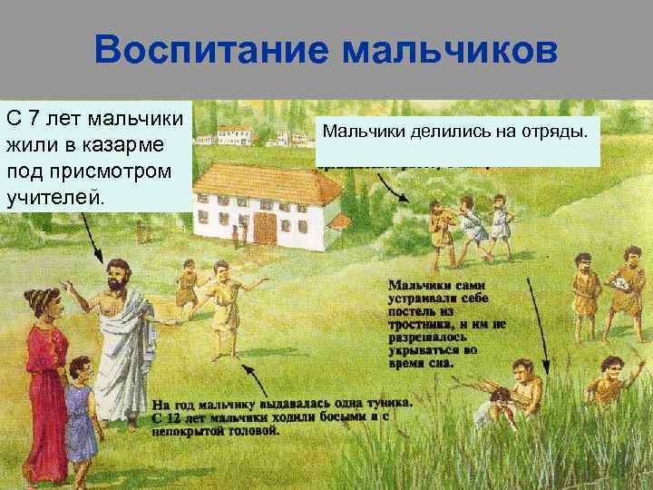   Воспитание мальчиков С 7 лет мальчики    Мальчики делились на