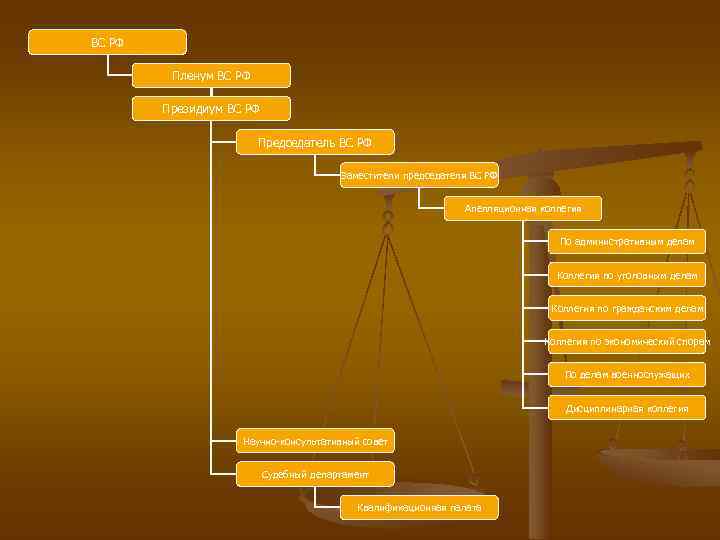 ВС РФ  Пленум ВС РФ   Президиум ВС РФ   