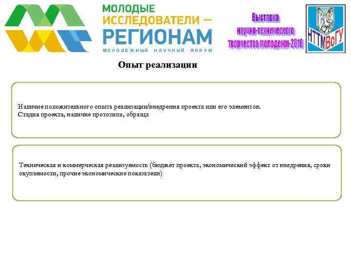       Опыт реализации  Наличие положительного опыта реализации/внедрения проекта