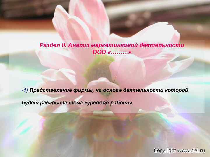  Раздел II. Анализ маркетинговой деятельности    ООО «………» -1) Представление фирмы,