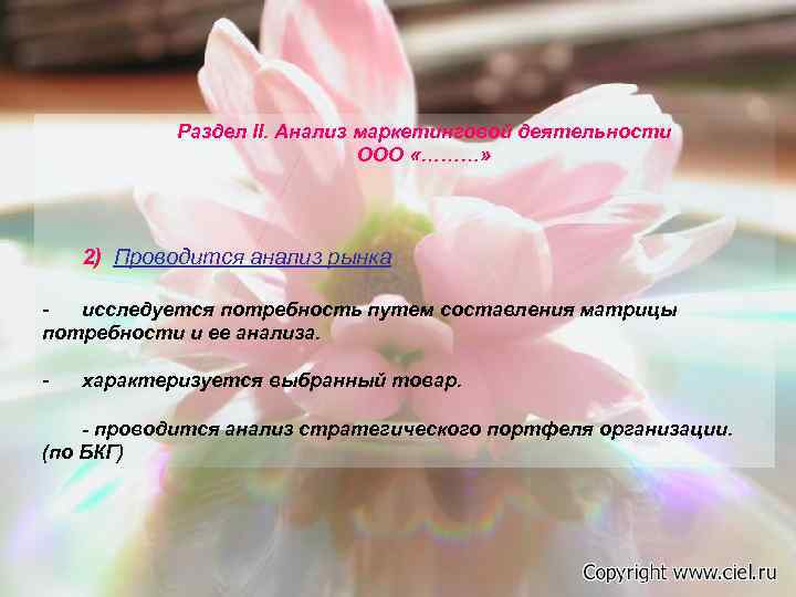   Раздел II. Анализ маркетинговой деятельности      ООО «………»