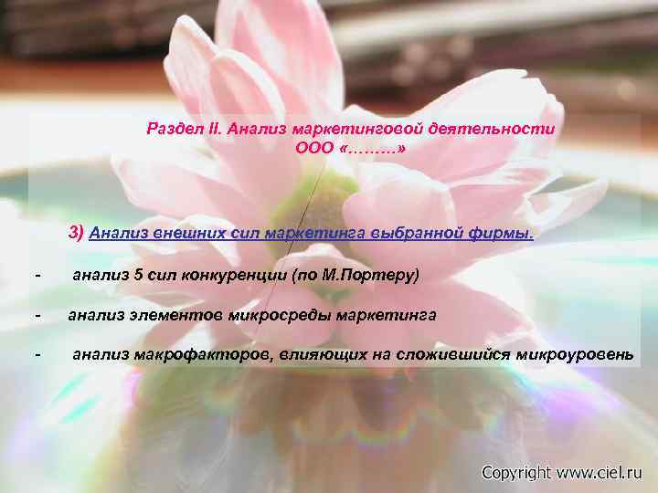   Раздел II. Анализ маркетинговой деятельности      ООО «………»