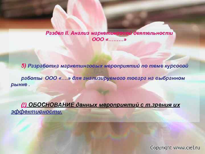   Раздел II. Анализ маркетинговой деятельности     ООО «………» 