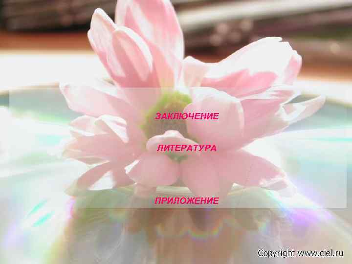 ЗАКЛЮЧЕНИЕ  ЛИТЕРАТУРА ПРИЛОЖЕНИЕ 