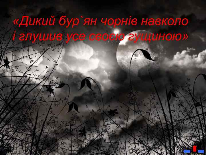  «Дикий бур`ян чорнів навколо і глушив усе своєю гущиною» 