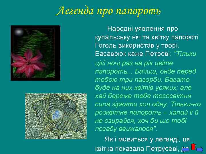 Легенда про папороть Народні уявлення про купальську ніч та квітку папороті Гоголь використав у