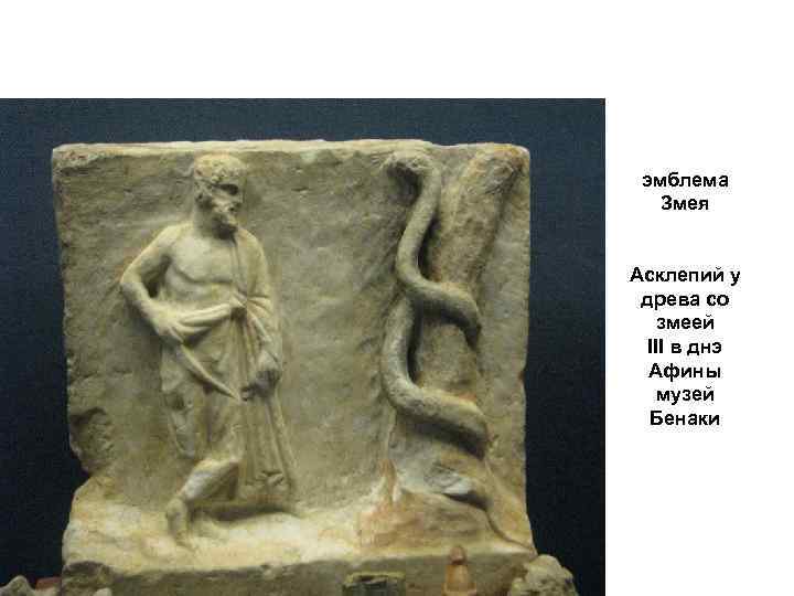 эмблема Змея Асклепий у древа со змеей III в днэ Афины музей Бенаки 