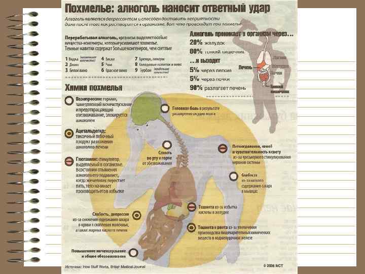  Проблемы для общества •  Нарушения общественного порядка •  Преступность • 