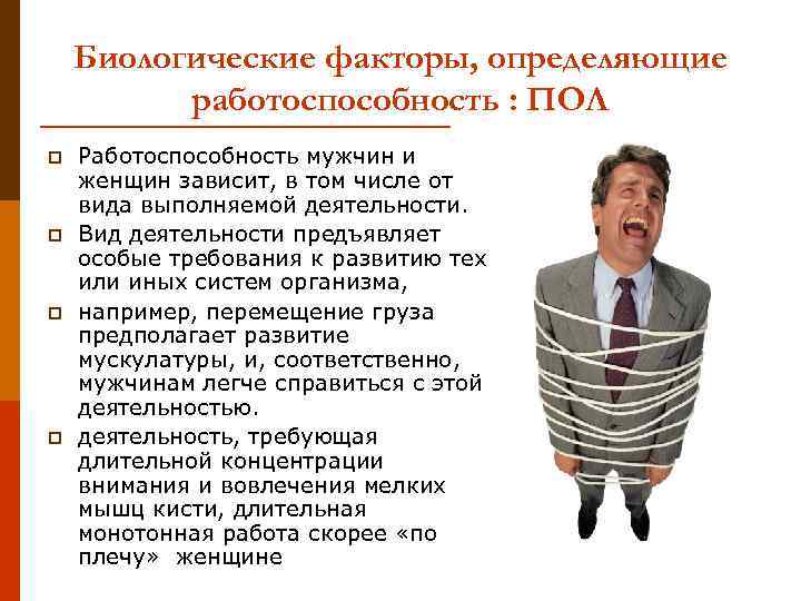 Биологические факторы, определяющие работоспособность : ПОЛ p p Работоспособность мужчин и женщин зависит, в