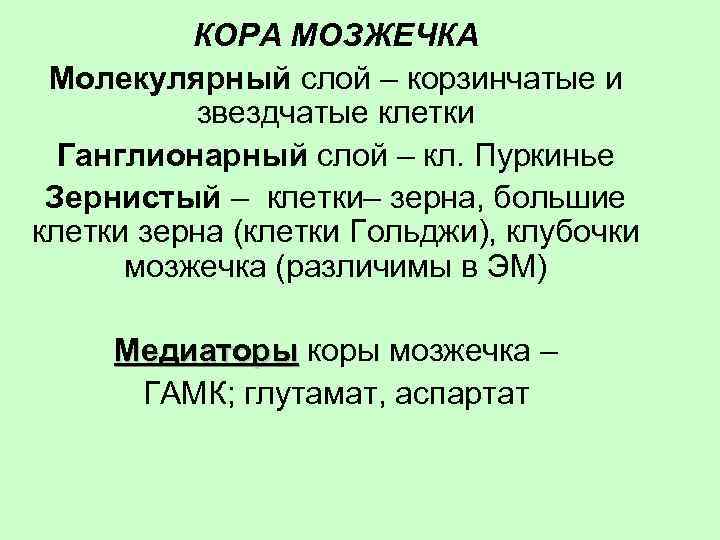 КОРА МОЗЖЕЧКА Молекулярный слой – корзинчатые и звездчатые клетки Ганглионарный слой – кл. Пуркинье