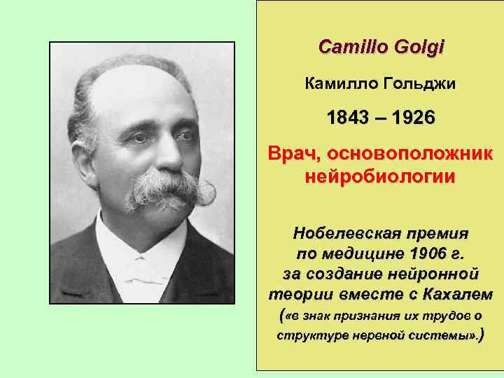 Camillo Golgi Камилло Гольджи 1843 – 1926 Врач, основоположник нейробиологии Нобелевская премия по медицине