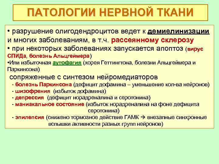 ПАТОЛОГИИ НЕРВНОЙ ТКАНИ • разрушение олигодендроцитов ведет к демиелинизации и многих заболеваниям, в т.