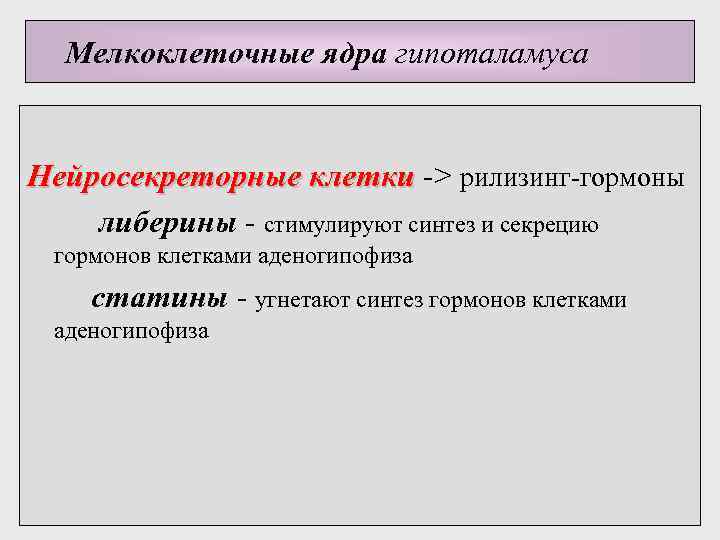 Мелкоклеточные ядра гипоталамуса Нейросекреторные клетки -> рилизинг-гормоны либерины - стимулируют синтез и секрецию гормонов