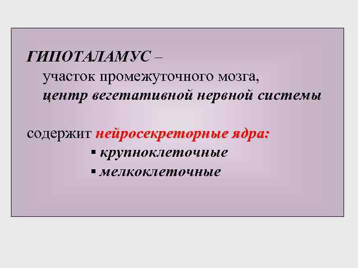 ГИПОТАЛАМУС – участок промежуточного мозга, центр вегетативной нервной системы содержит нейросекреторные ядра: ▪ крупноклеточные