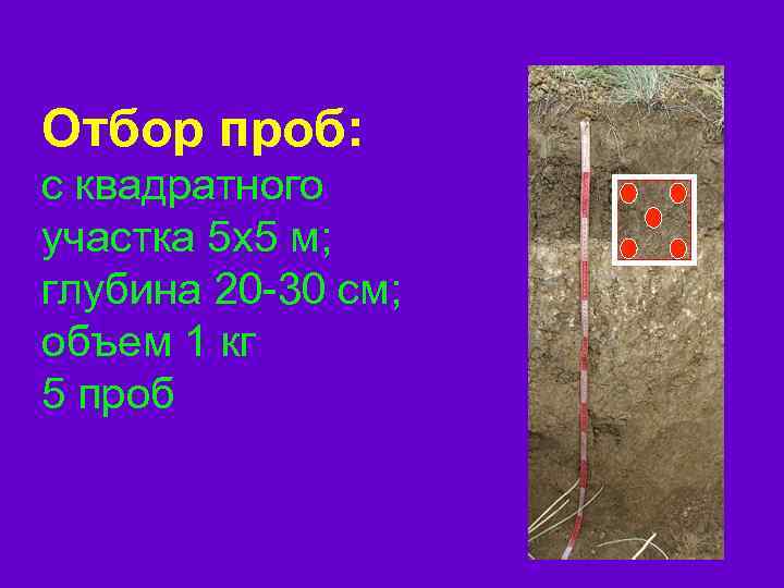 Отбор проб: с квадратного участка 5 х5 м; глубина 20 -30 см; объем 1