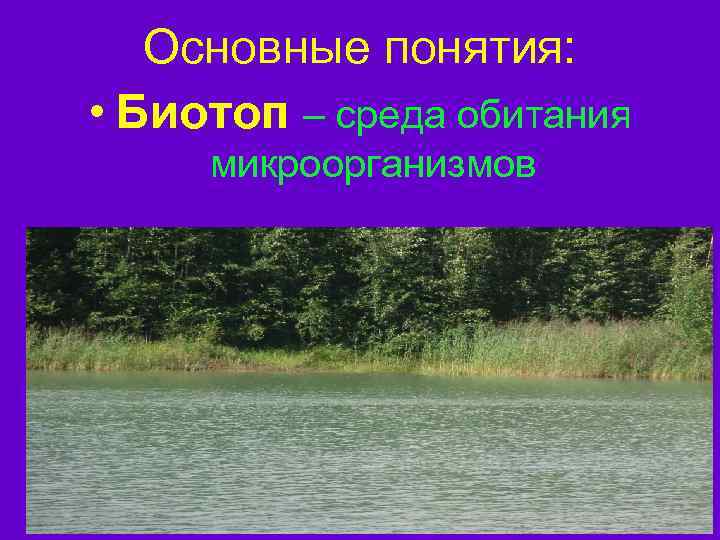 Основные понятия: • Биотоп – среда обитания микроорганизмов 