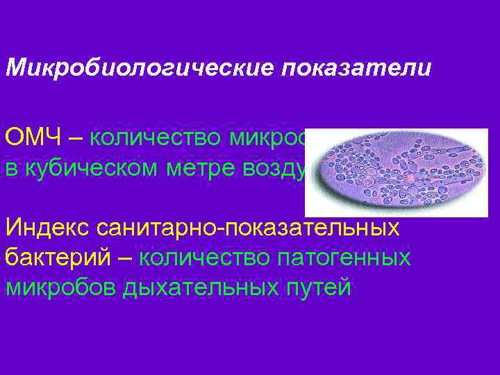 Микробиологические показатели ОМЧ – количество микроорганизмов в кубическом метре воздуха. Индекс санитарно-показательных бактерий –