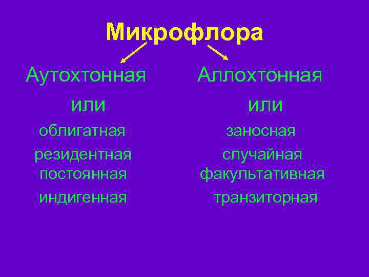 Микрофлора Аутохтонная или Аллохтонная или облигатная резидентная постоянная индигенная заносная случайная факультативная транзиторная 