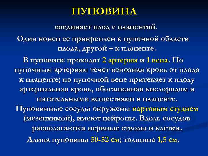 ПУПОВИНА соединяет плод с плацентой. Один конец ее прикреплен ПУПОВИНА соединяет плод с плацентой. Один конец ее прикреплен