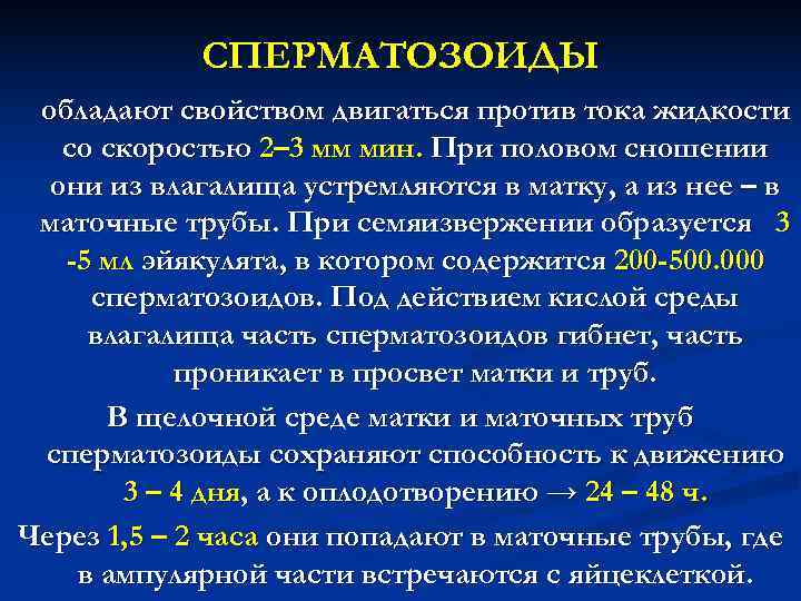 СПЕРМАТОЗОИДЫ обладают свойством двигаться против тока жидкости со скоростью 2– 3 СПЕРМАТОЗОИДЫ обладают свойством двигаться против тока жидкости со скоростью 2– 3
