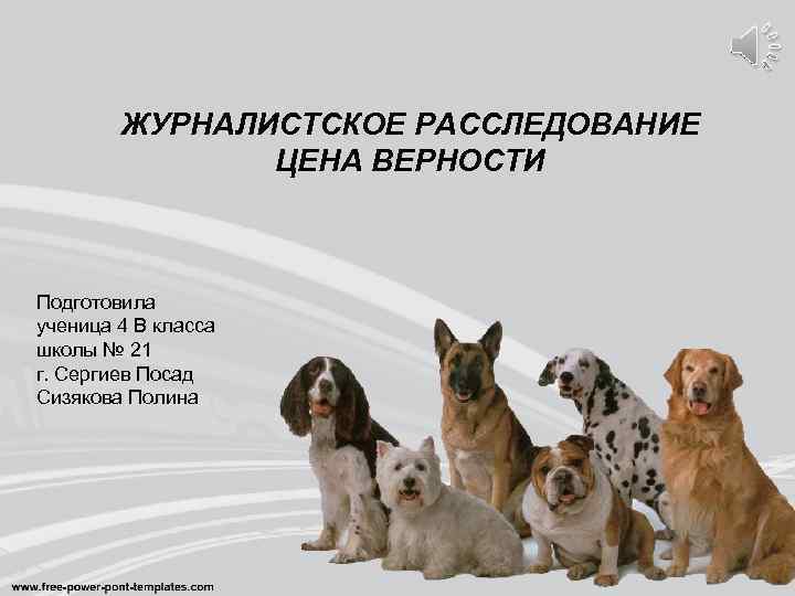 ЖУРНАЛИСТСКОЕ РАССЛЕДОВАНИЕ ЦЕНА ВЕРНОСТИ Подготовила ученица 4 В класса школы № 21 г. Сергиев