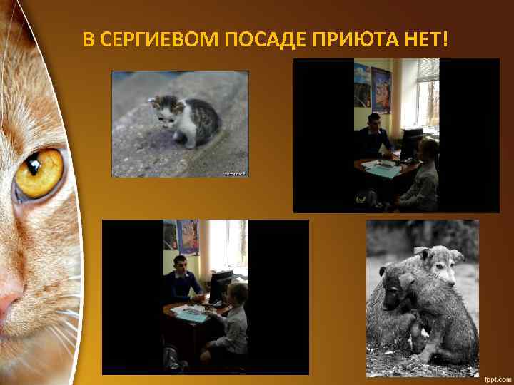 В СЕРГИЕВОМ ПОСАДЕ ПРИЮТА НЕТ! 