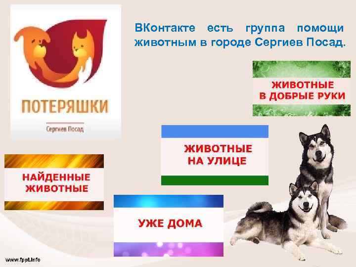 ВКонтакте есть группа помощи животным в городе Сергиев Посад. 
