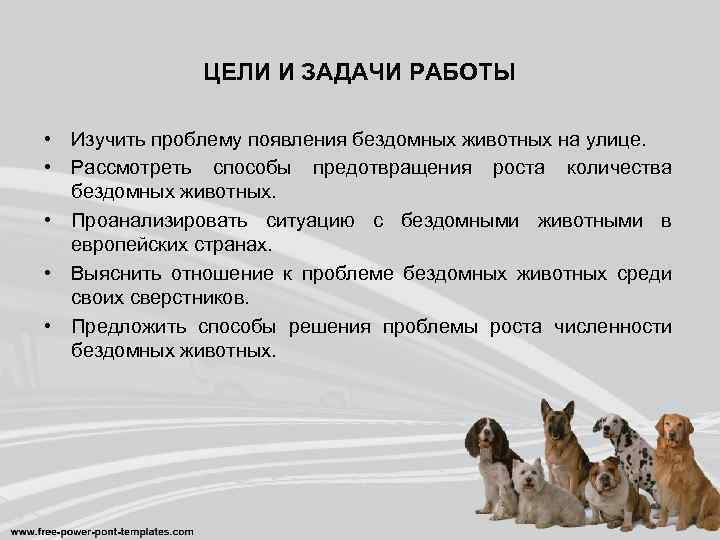 ЦЕЛИ И ЗАДАЧИ РАБОТЫ • Изучить проблему появления бездомных животных на улице. • Рассмотреть