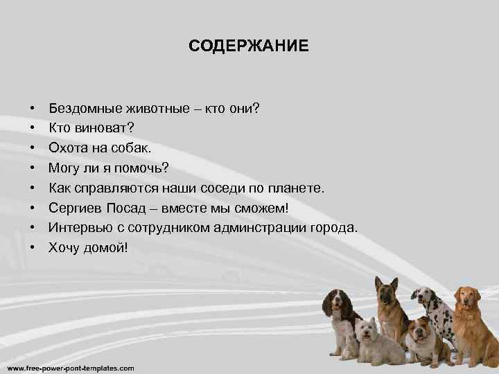 СОДЕРЖАНИЕ • • Бездомные животные – кто они? Кто виноват? Охота на собак. Могу