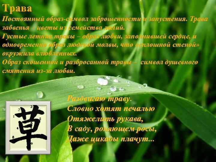 Трава Постоянный образ-символ заброшенности и запустения. Трава забвенья – цветы из семейства лилий. Густые
