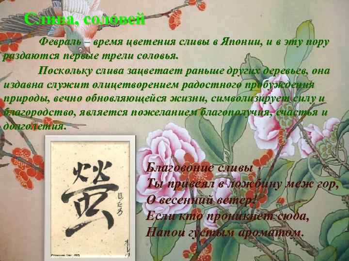 Слива, соловей Февраль – время цветения сливы в Японии, и в эту пору раздаются