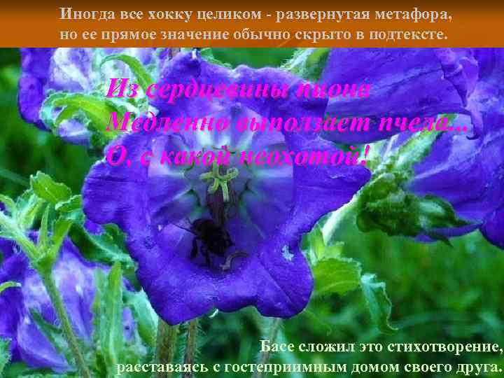 Иногда все хокку целиком - развернутая метафора, но ее прямое значение обычно скрыто в