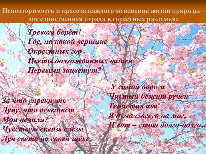 Неповторимость и красота каждого мгновения жизни природы – вот единственная отрада в горестных раздумьях